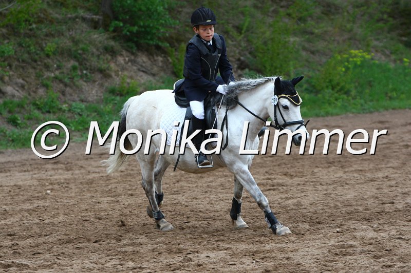 005L3766_Tamira_Springreiter WB.JPG